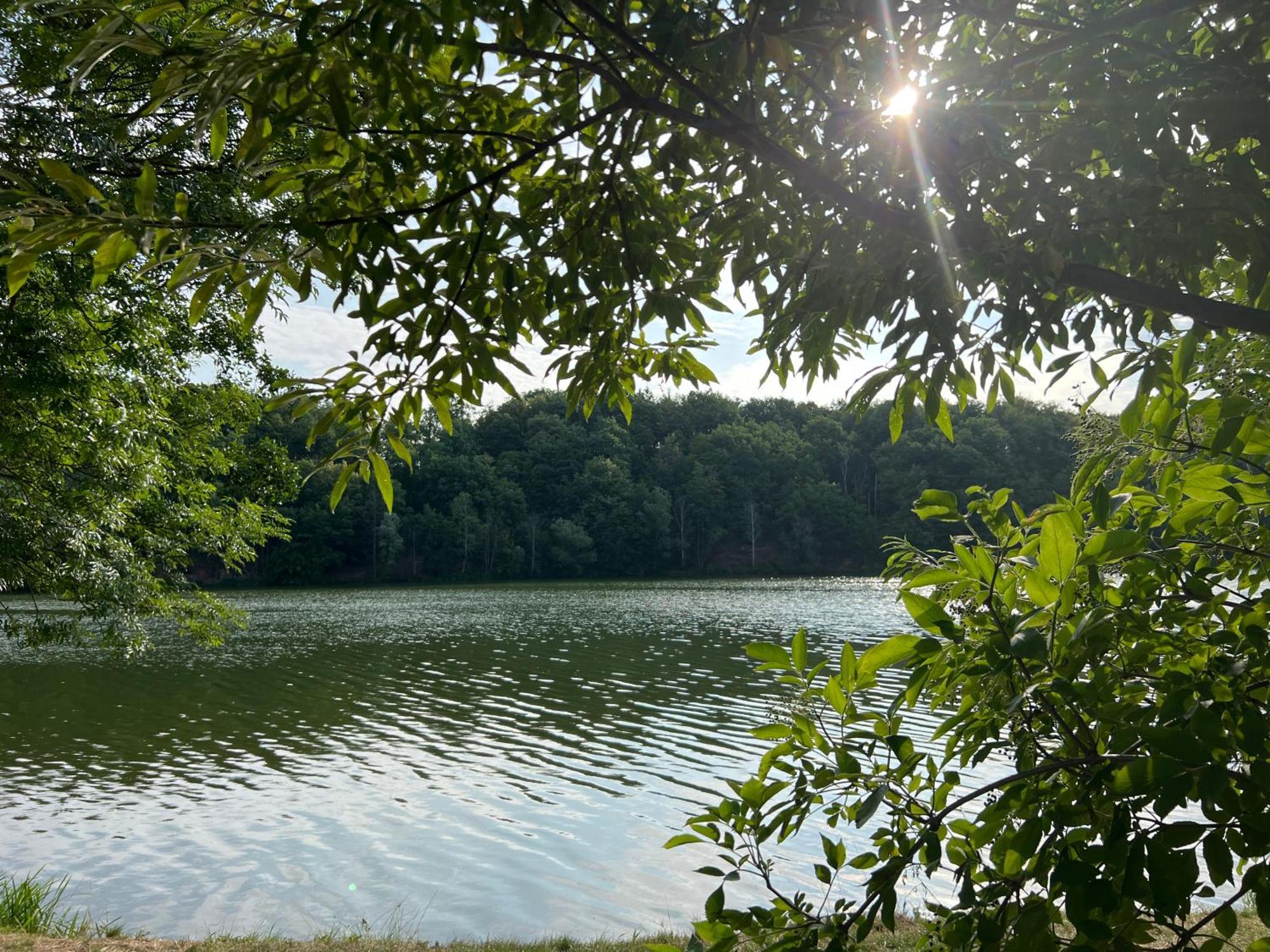 Ferienwohnungen Brenner Einchecken Und Wohlfuehlen Langenbernsdorf エクステリア 写真